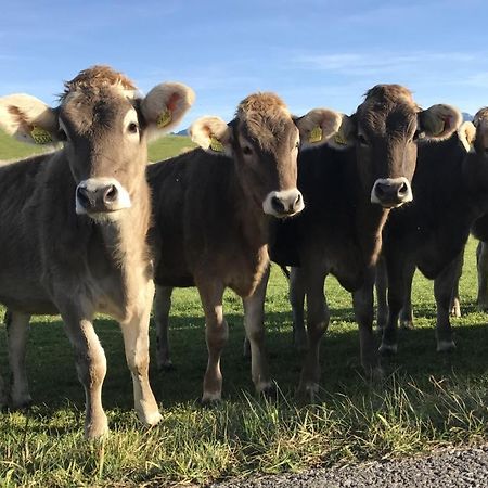 Ferienwohnung Am Kurpark Oy-Mittelberg Esterno foto