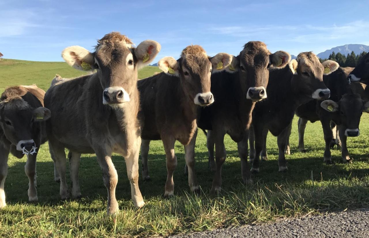 Ferienwohnung Am Kurpark Oy-Mittelberg Esterno foto